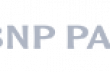 BNP Paripas logo